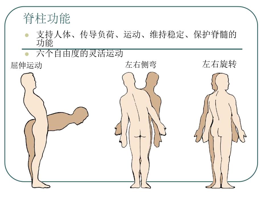 腰椎骨折概要_第4页