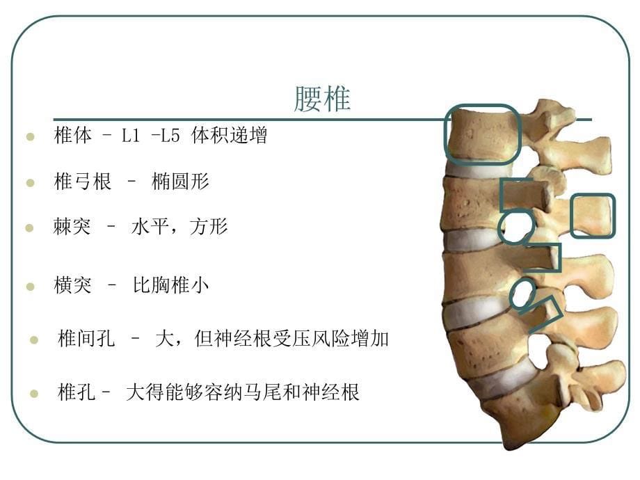 腰椎骨折概要_第5页