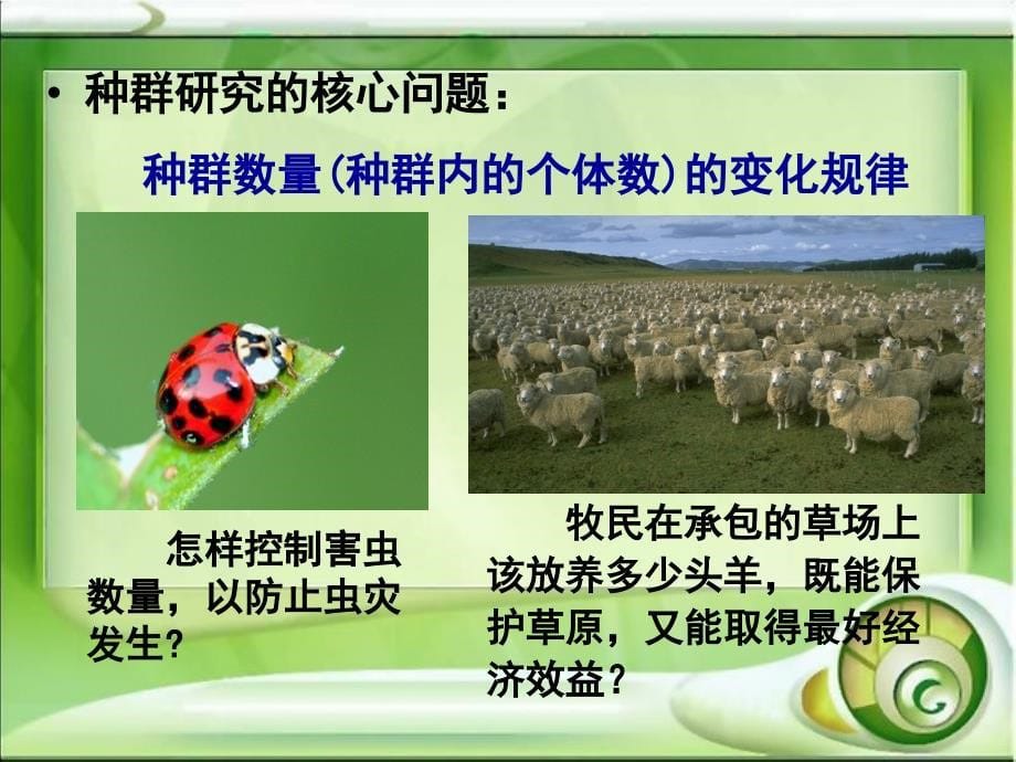 高中人教生物必修3种群的特征.ppt_第5页