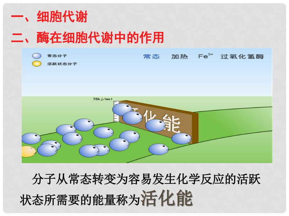 湖南省长沙市高中生物 5.1 降低化学反应活化能的酶（第2课时）课件 新人教版必修1_第2页