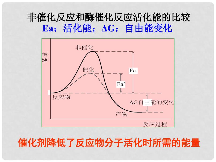 湖南省长沙市高中生物 5.1 降低化学反应活化能的酶（第2课时）课件 新人教版必修1_第3页