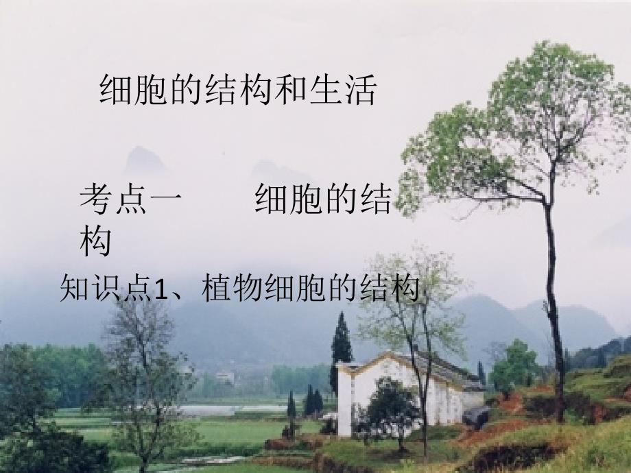 细胞的结构和生活复习九_第1页