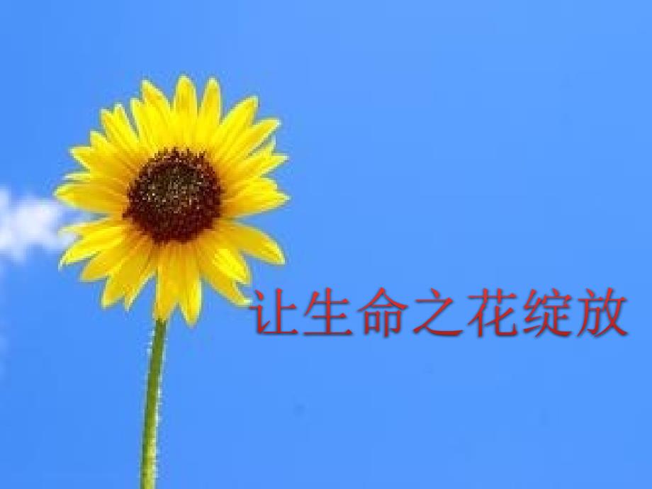 31让生命之花绽放_第1页