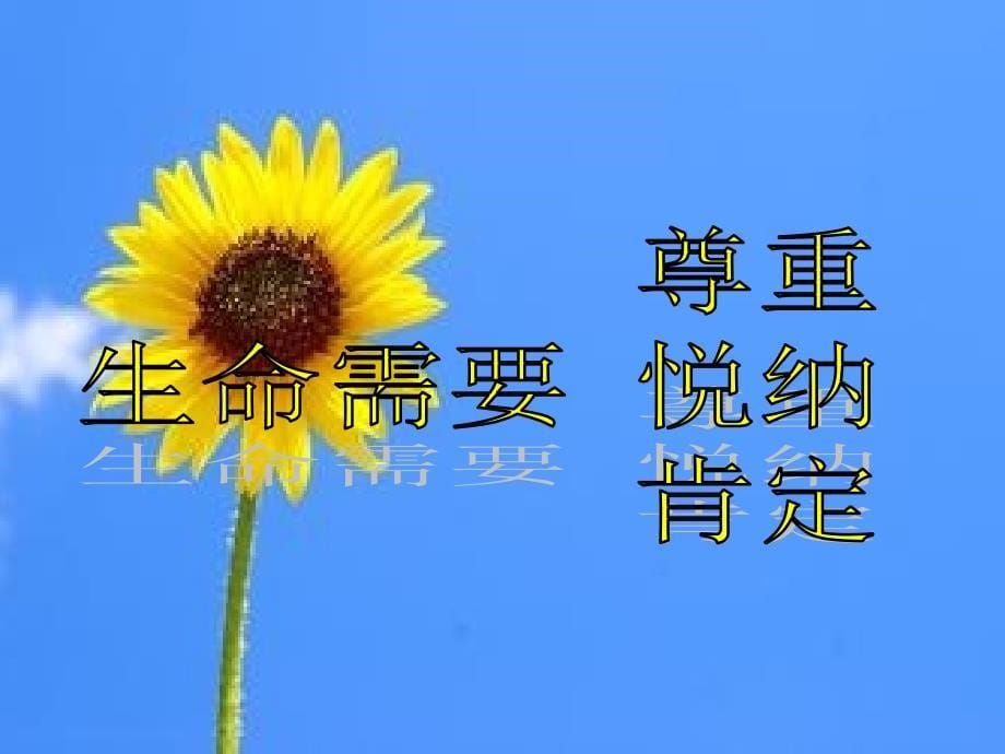 31让生命之花绽放_第5页