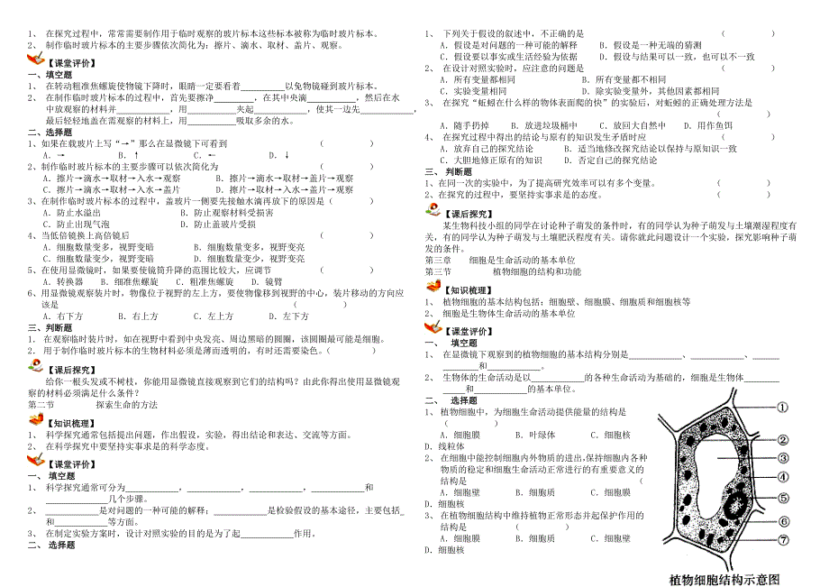 苏教版七年级上册生物导学案.doc_第3页