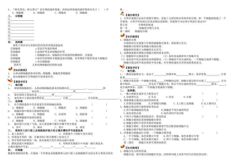 苏教版七年级上册生物导学案.doc_第4页