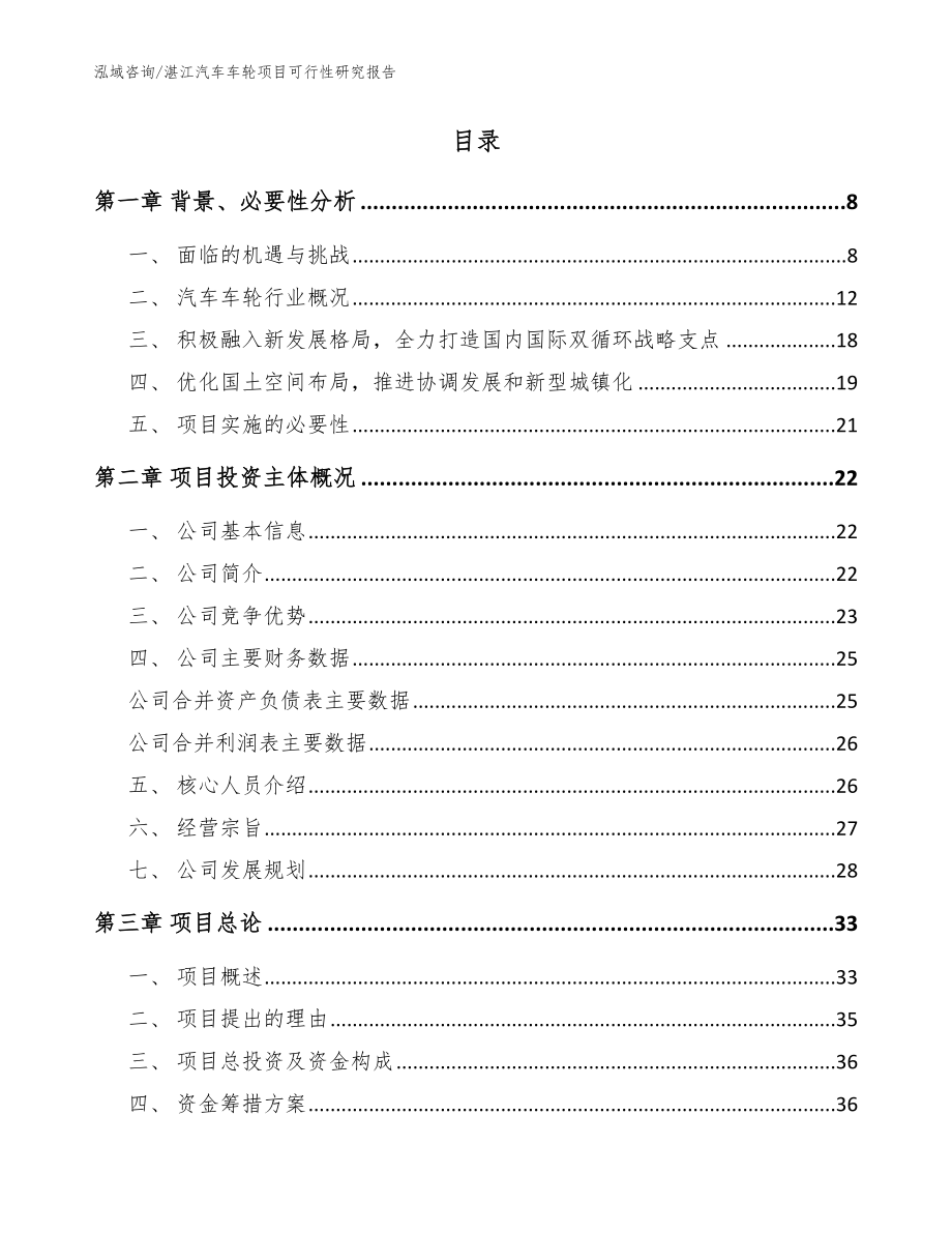 湛江汽车车轮项目可行性研究报告_第2页