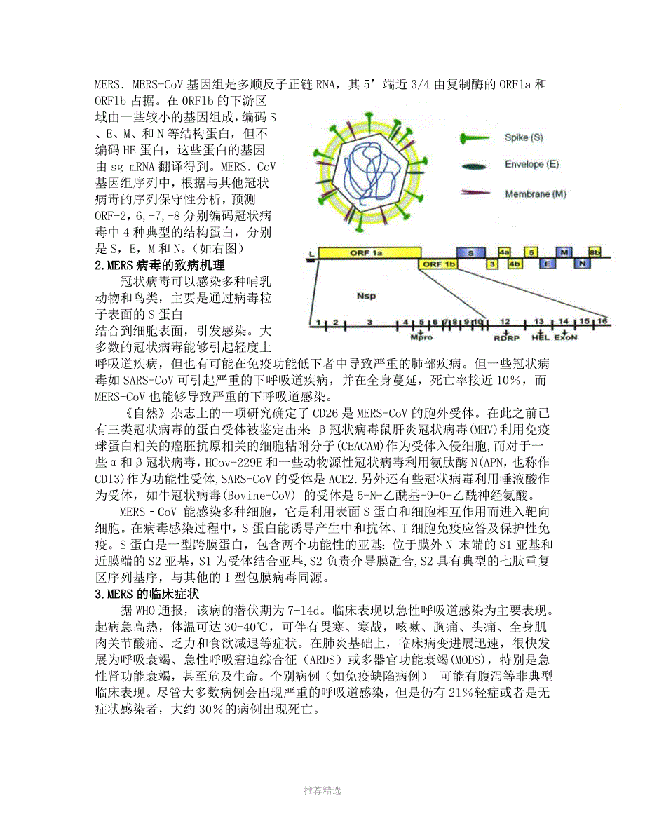 MERS病毒的结构致病机理预防与治疗手段_第3页