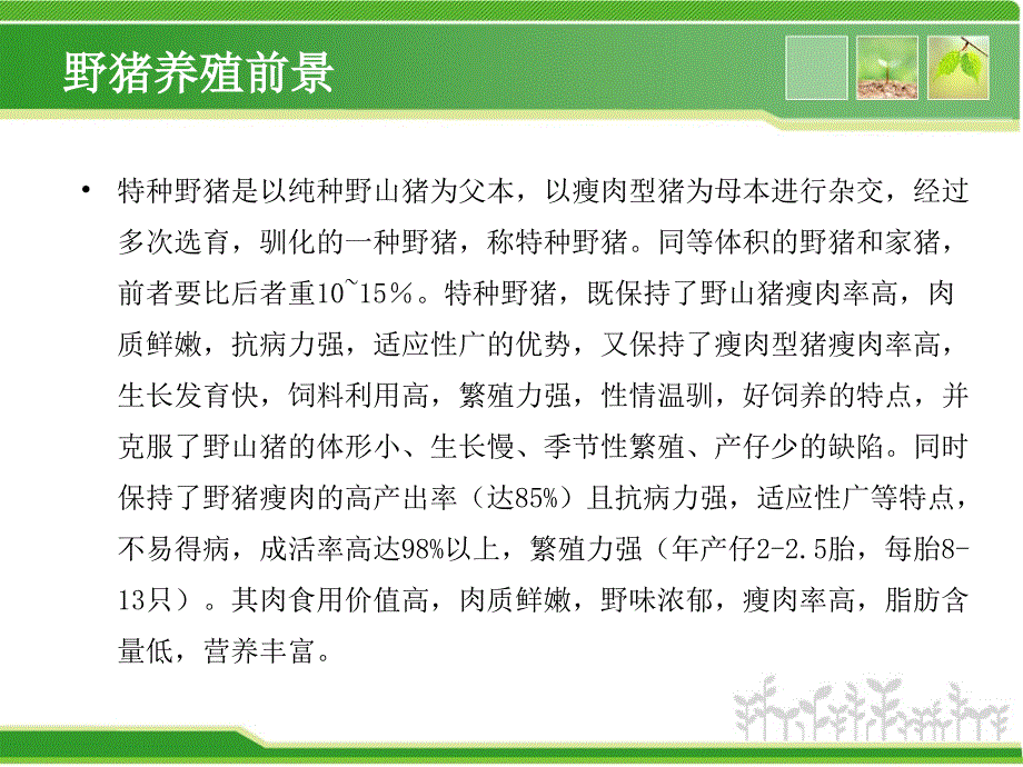 最新营销策划案例特种养殖野猪养殖项目策划_第2页