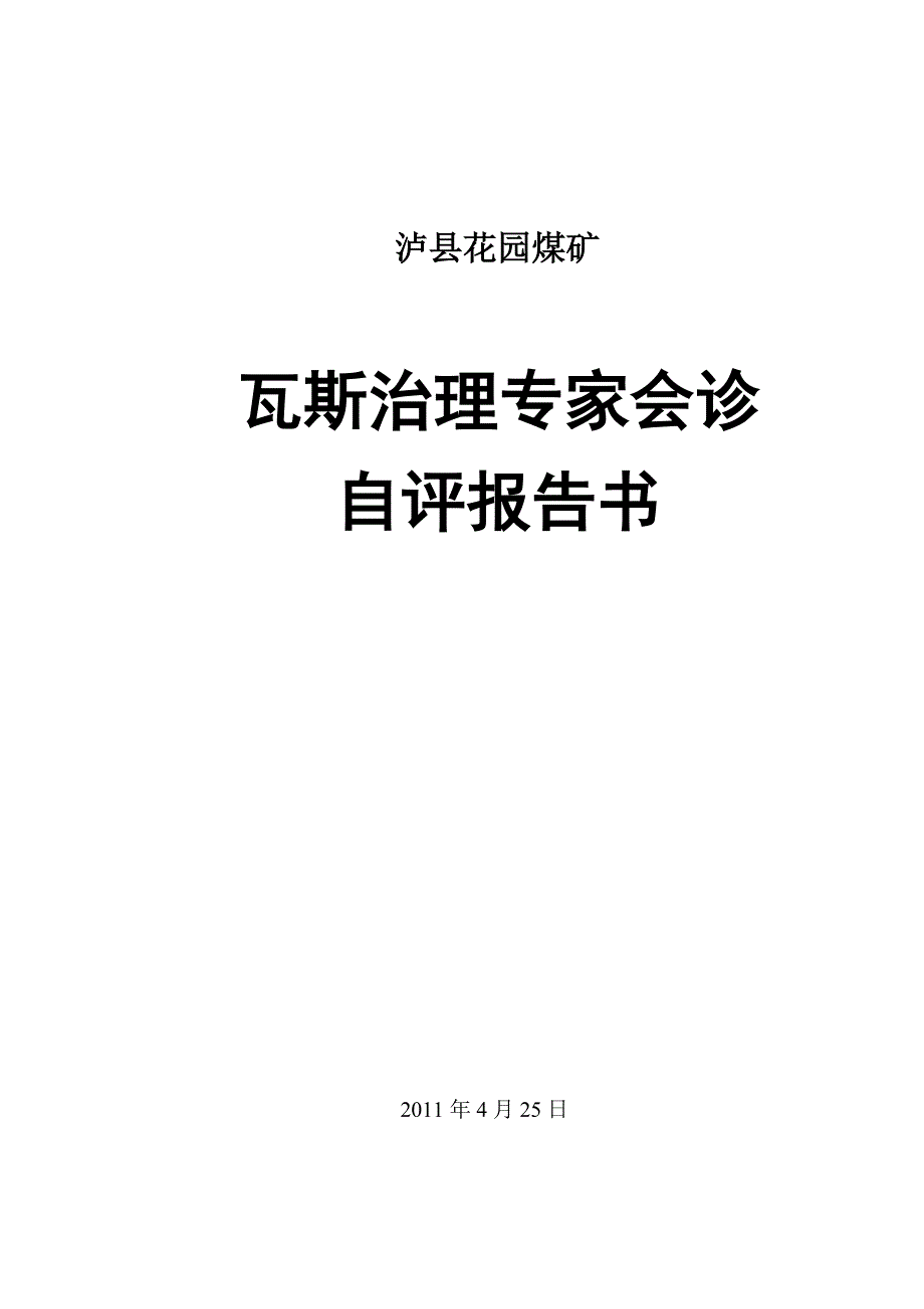 花园煤矿瓦斯治理专家会诊自评报告书_第1页