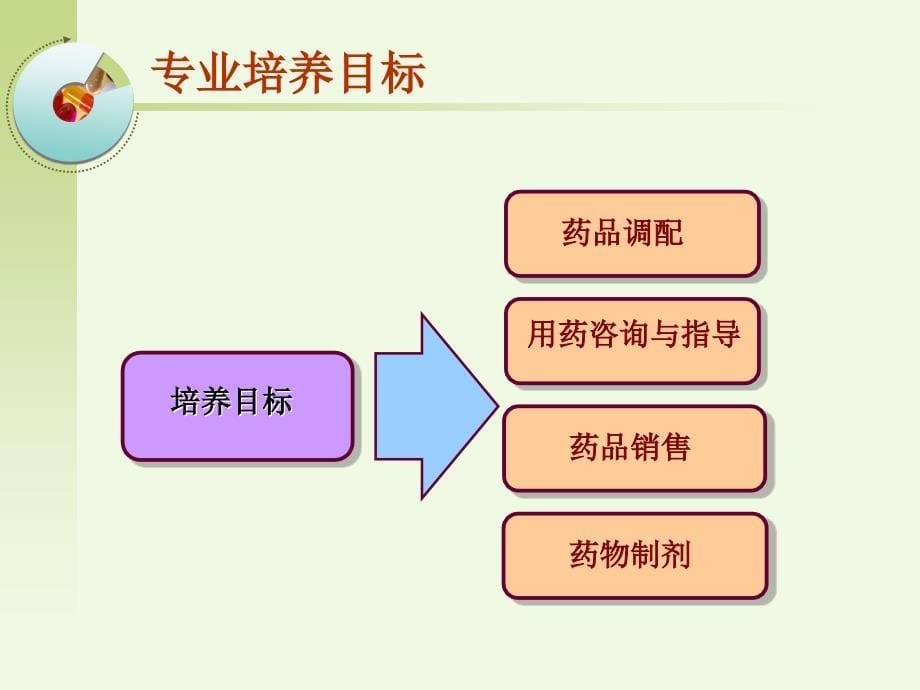 药学专业介绍PPT课件_第5页