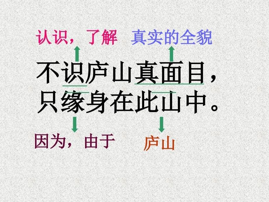 21古诗三首之题西林壁_第5页