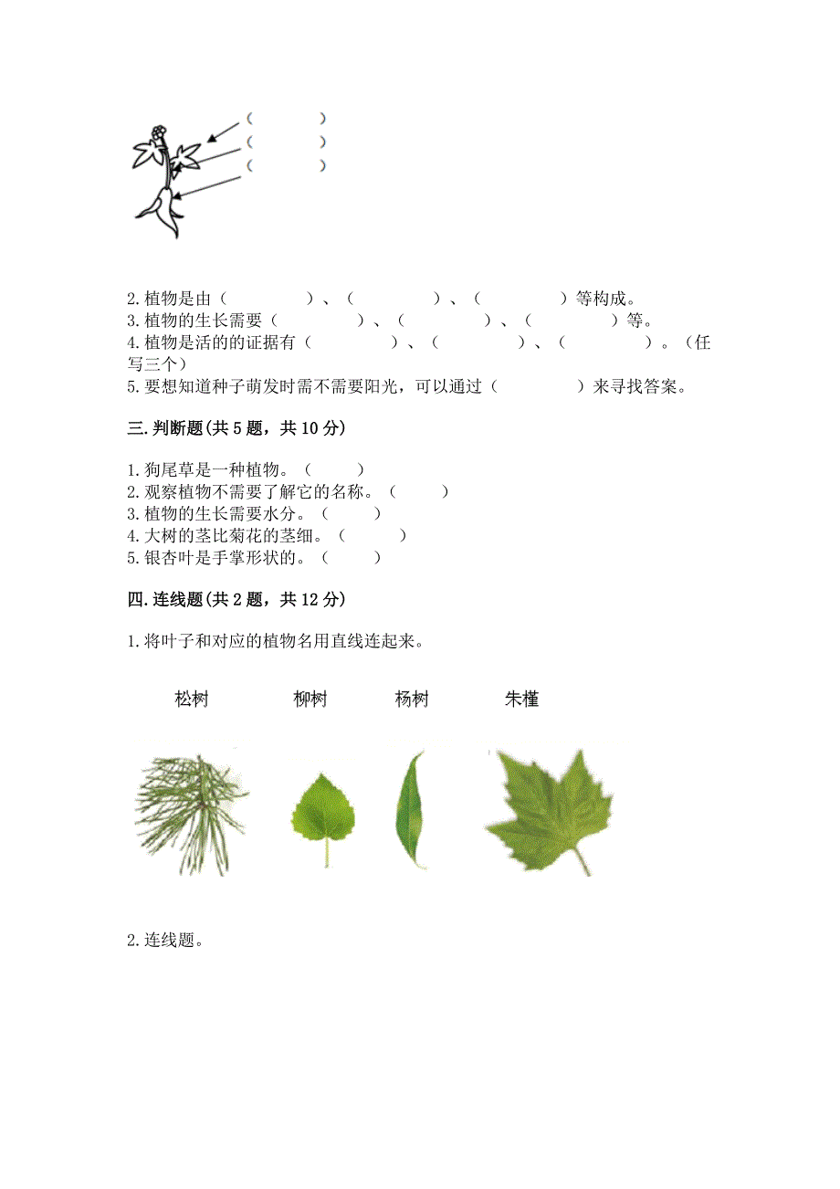 教科版科学一年级上册第一单元《植物》测试卷精品(综合题).docx_第2页