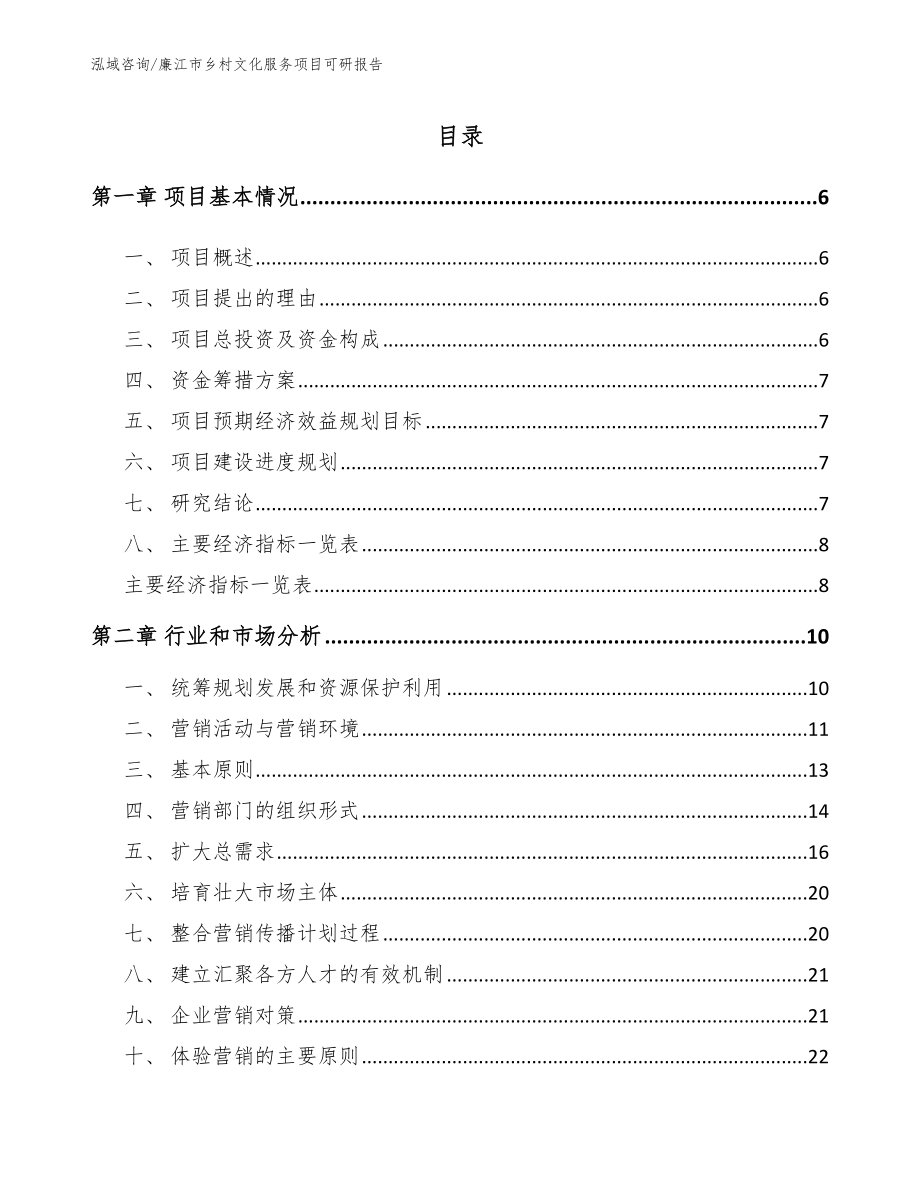 廉江市乡村文化服务项目可研报告_第1页