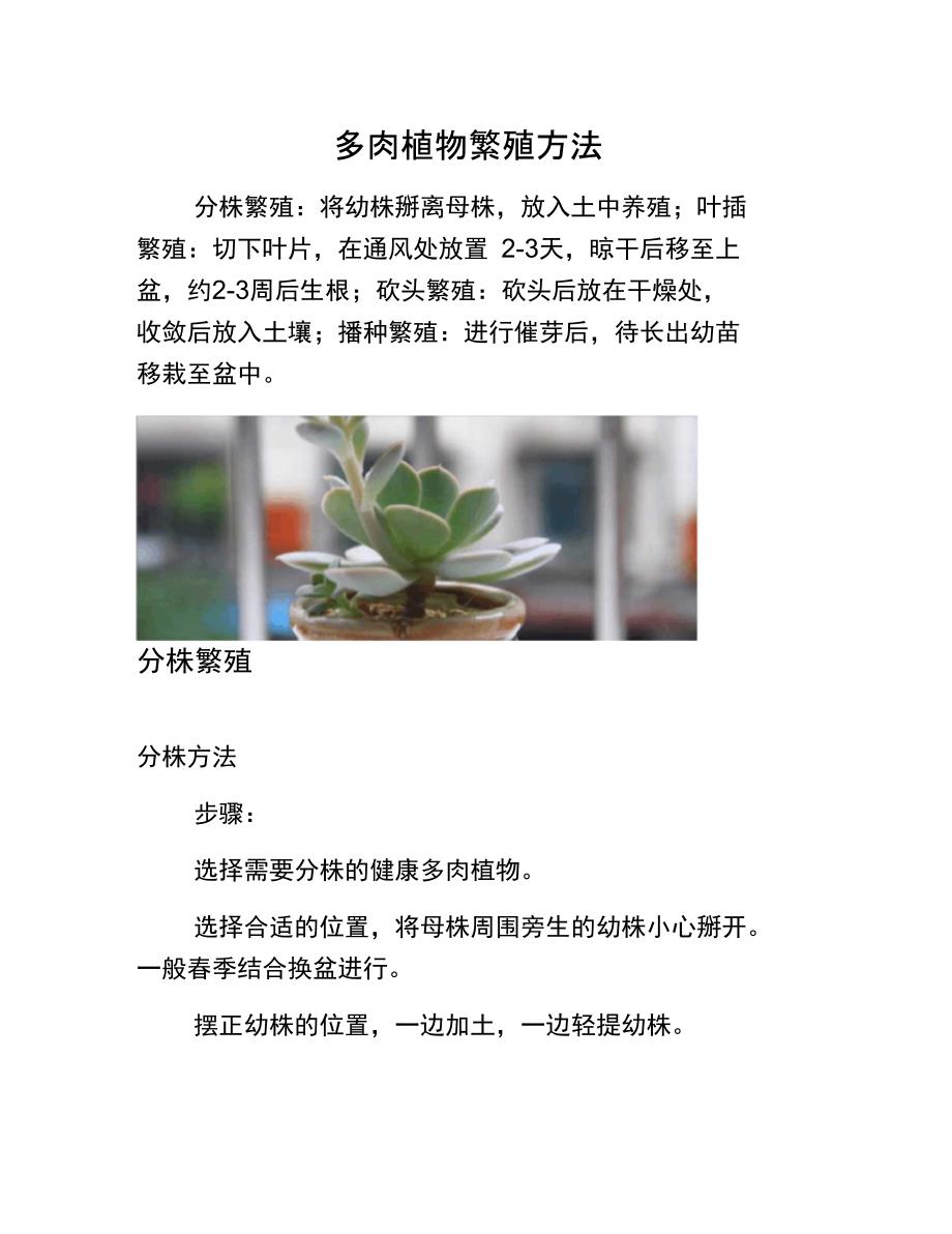 多肉植物繁殖方法_第1页