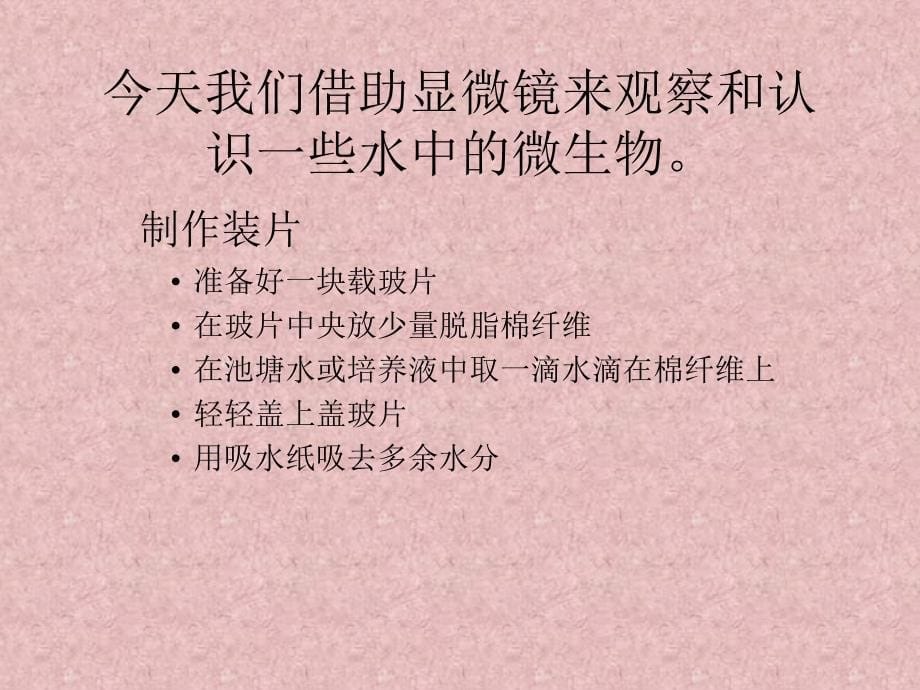 用显微镜观察身边的生命世界(三)_第5页