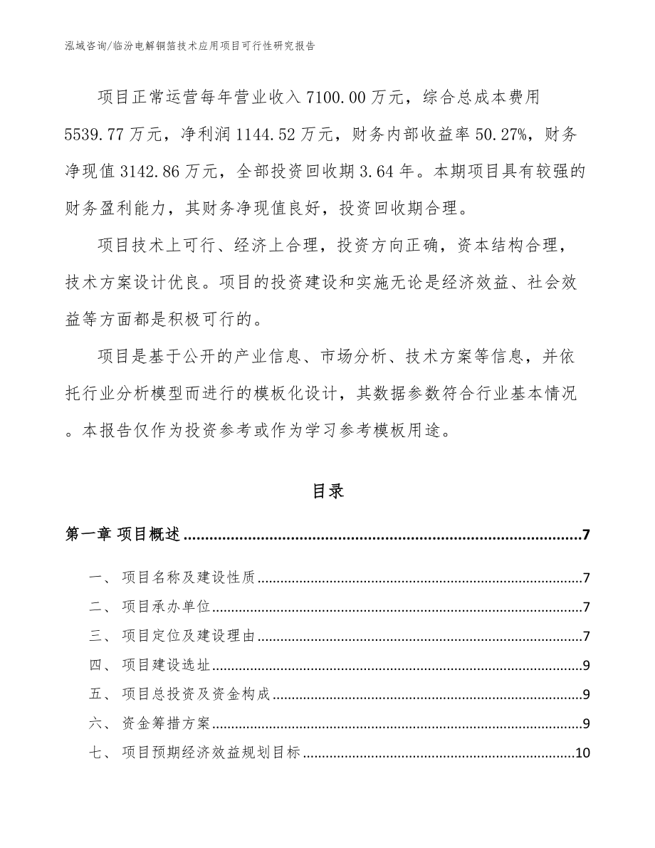 临汾电解铜箔技术应用项目可行性研究报告（模板范本）_第2页