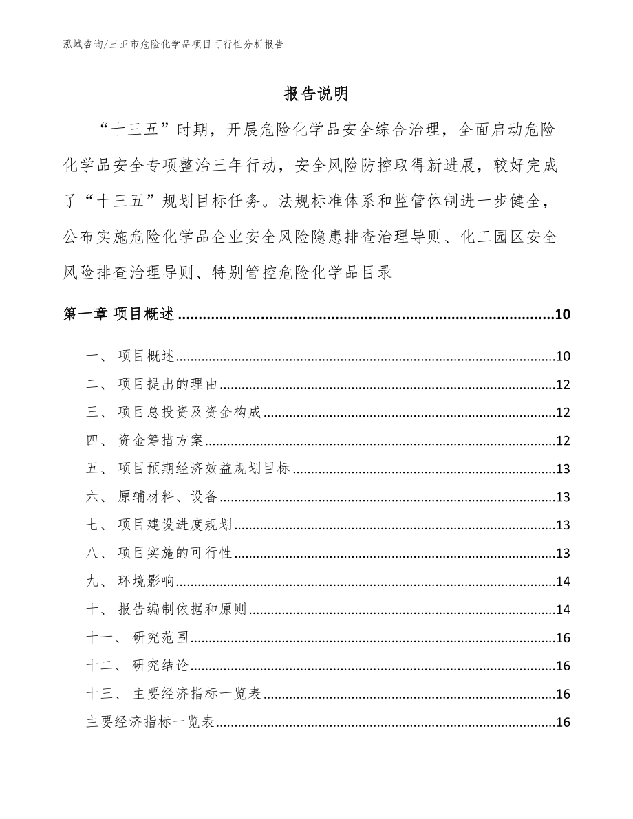 三亚市危险化学品项目可行性分析报告_第2页