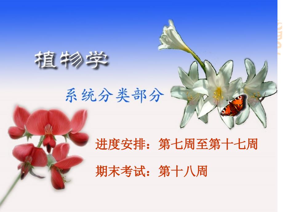 植物学教学课件：藻类1_第1页