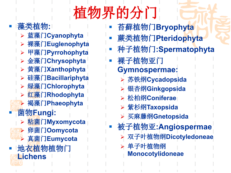 植物学教学课件：藻类1_第3页