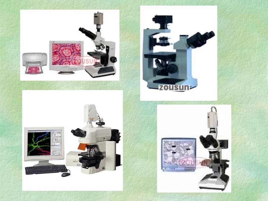 植物显微技术课件_第1页