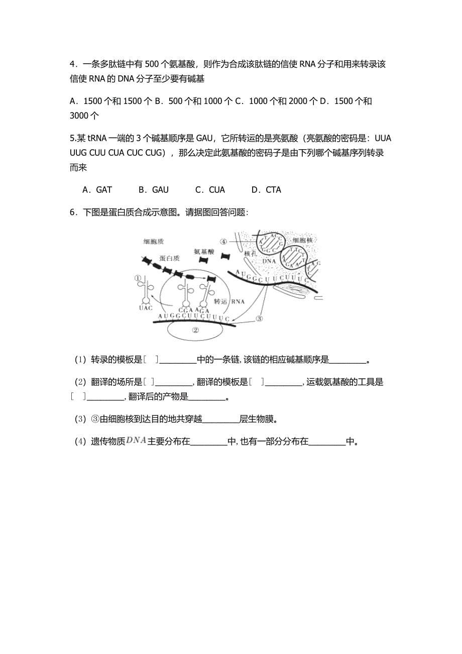 从基因到蛋白质的活动单.docx_第5页