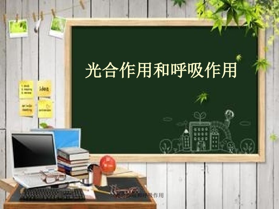 最新光合作用和呼吸作用_第1页