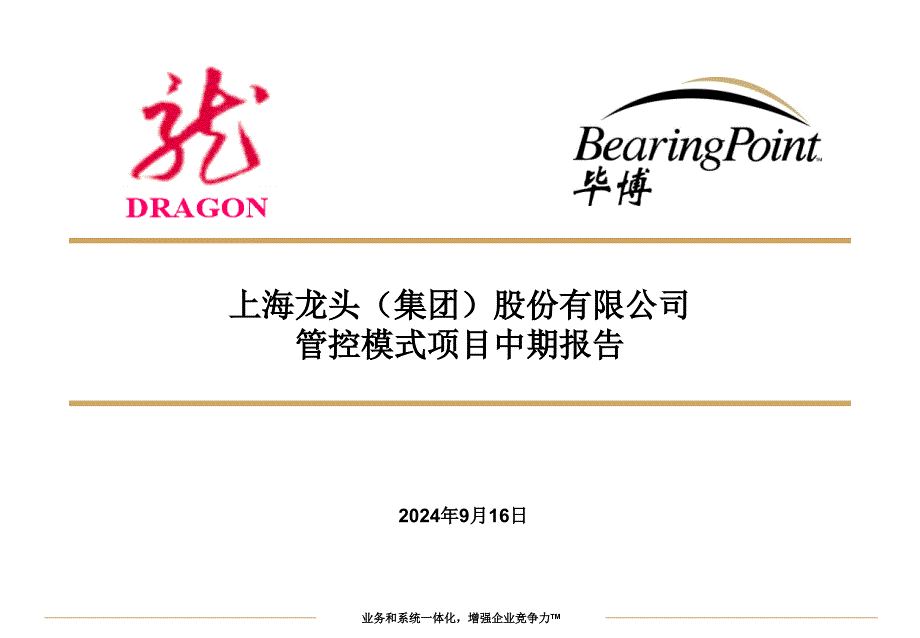 某股份有限公司管控模式项目中期报告bxxu_第1页