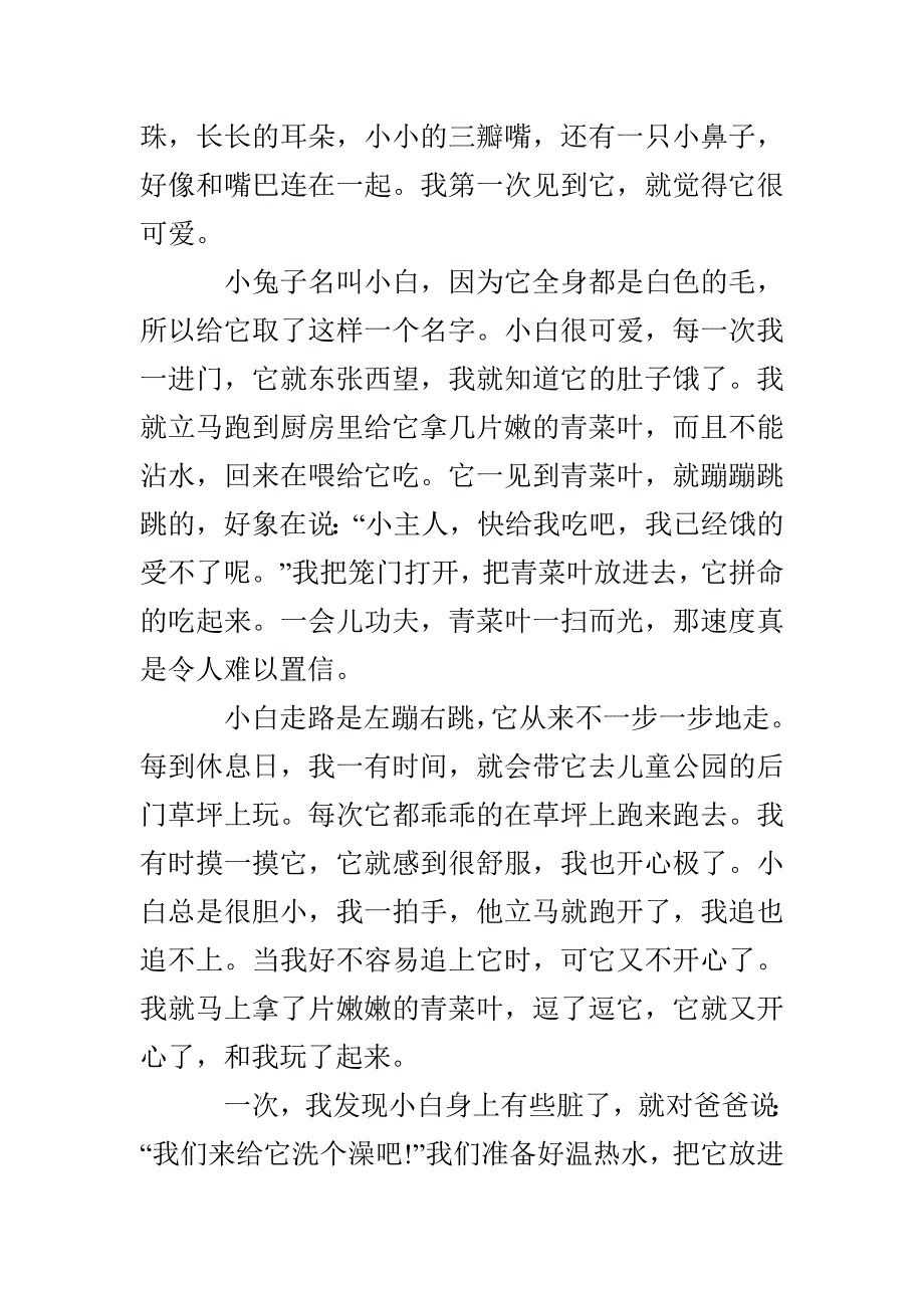 养宠物的心得体会初中范文五篇精选2021_第4页