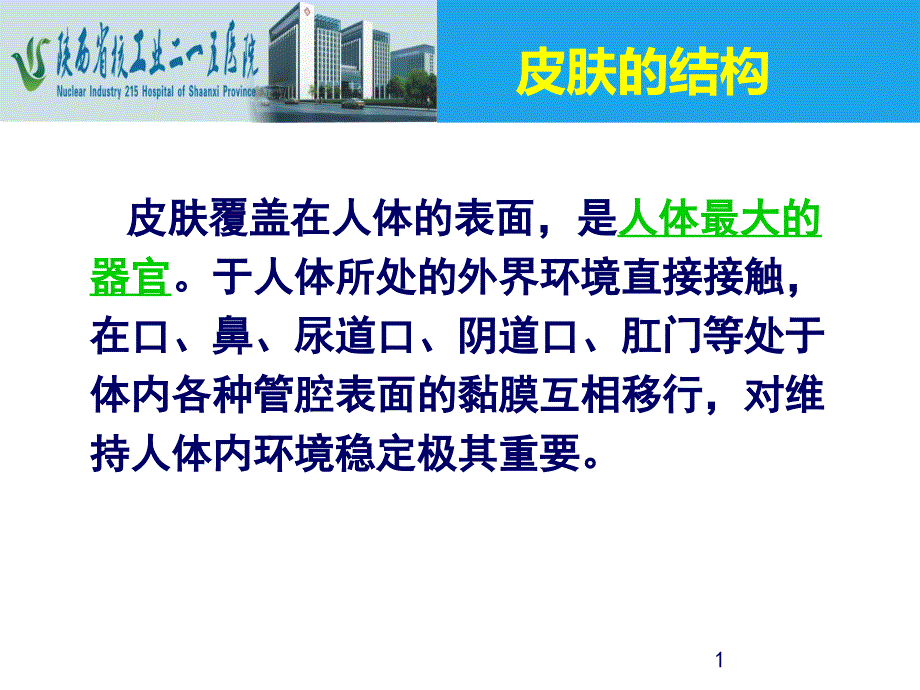 危重病人皮肤管理ppt课件PPT文档_第1页