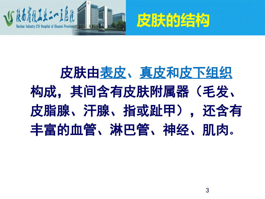 危重病人皮肤管理ppt课件PPT文档_第3页