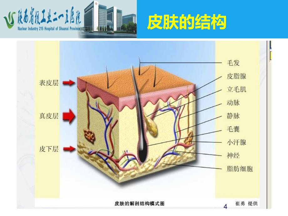 危重病人皮肤管理ppt课件PPT文档_第4页