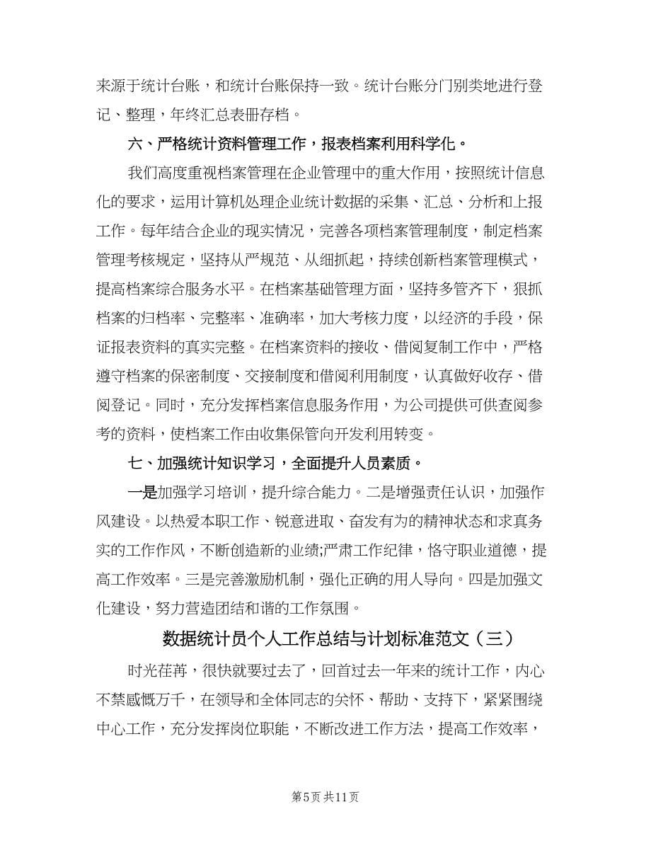 数据统计员个人工作总结与计划标准范文（5篇）.doc_第5页