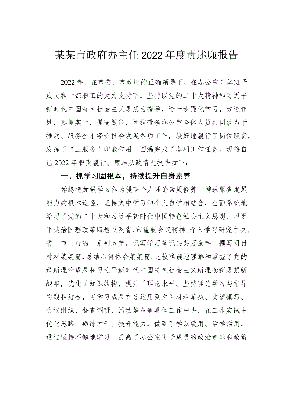 某某市政府办主任2022年度责述廉报告_第1页