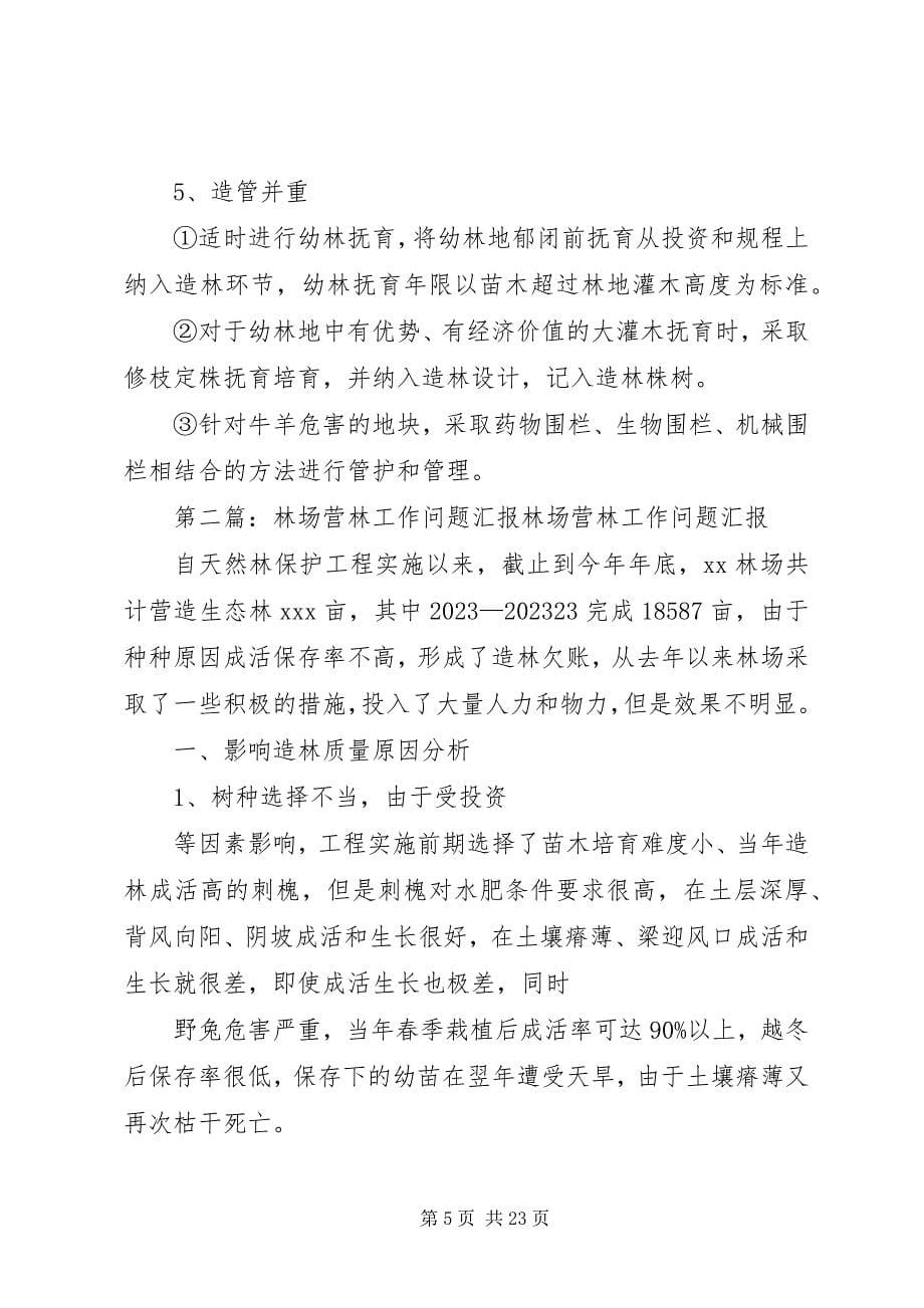 2023年林场营林工作问题汇报.docx_第5页