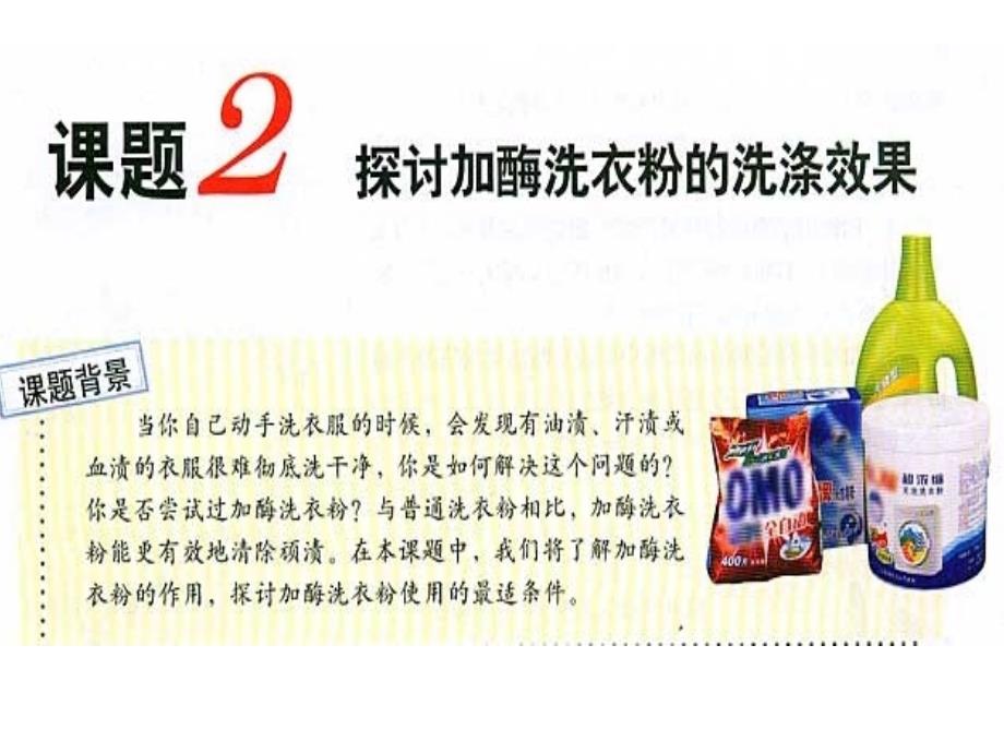 探讨加酶洗衣粉的洗涤效果课件_第1页