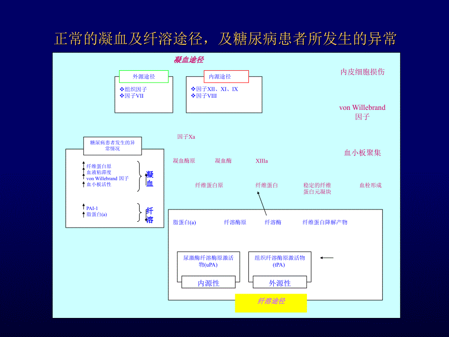 糖尿病的心血管病变_第3页