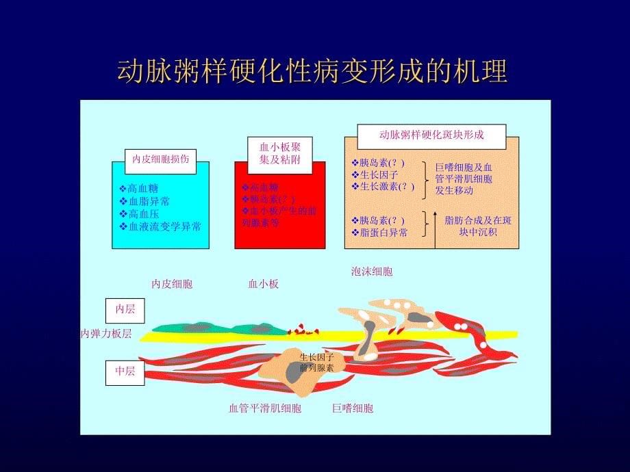 糖尿病的心血管病变_第5页