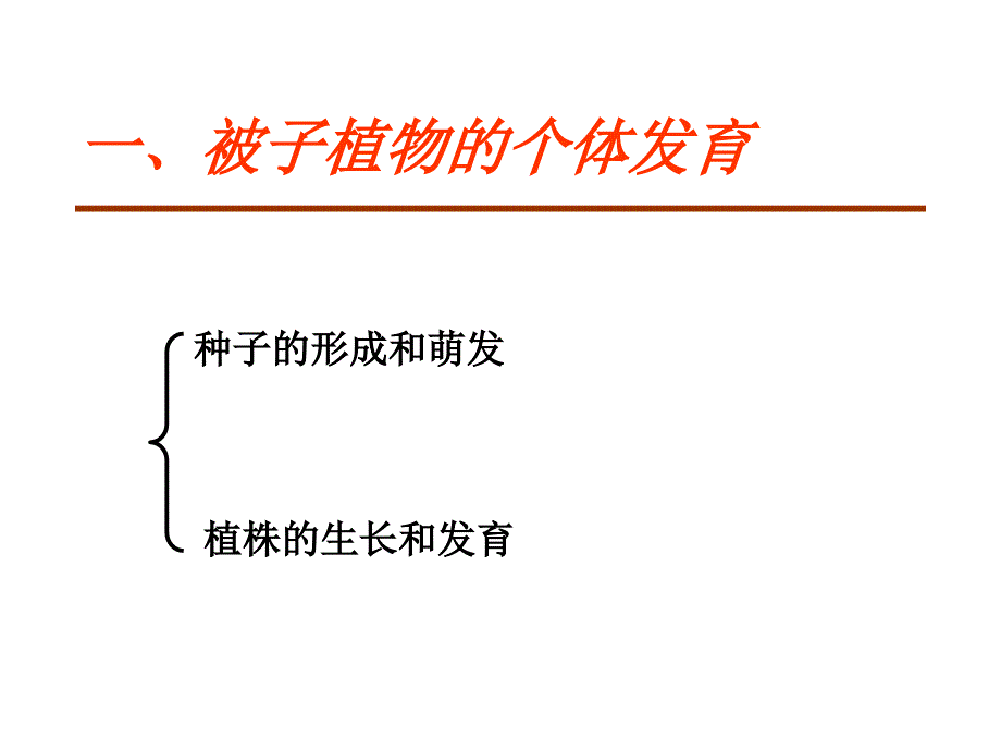 高二生物被子植物的个体发育课件_第2页