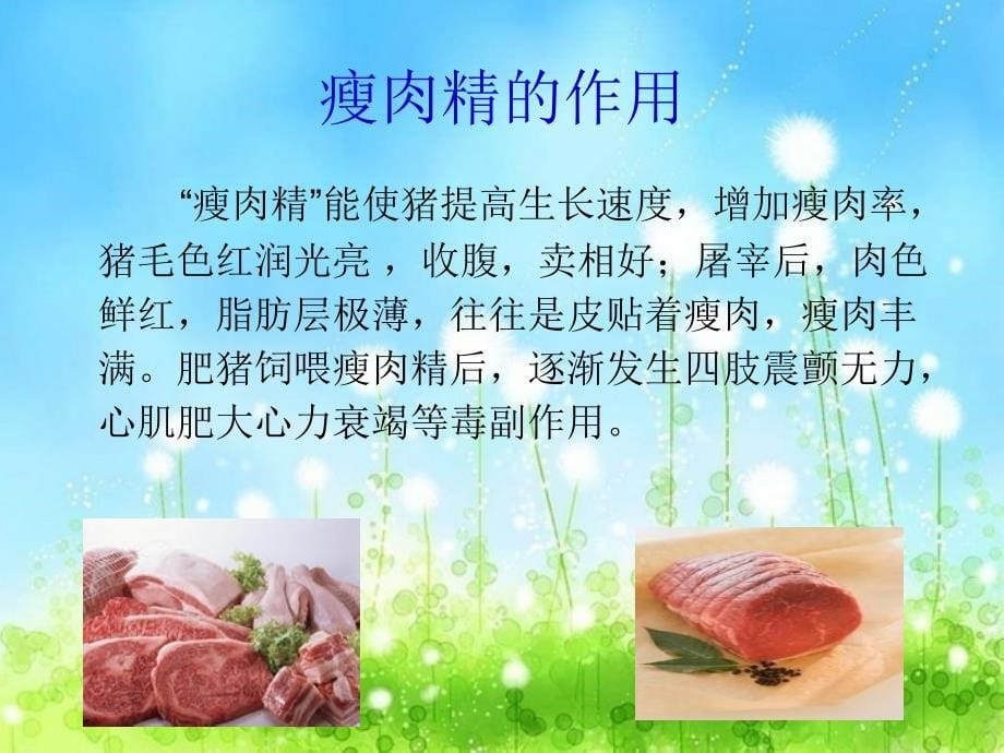 瘦肉精的检测_第5页