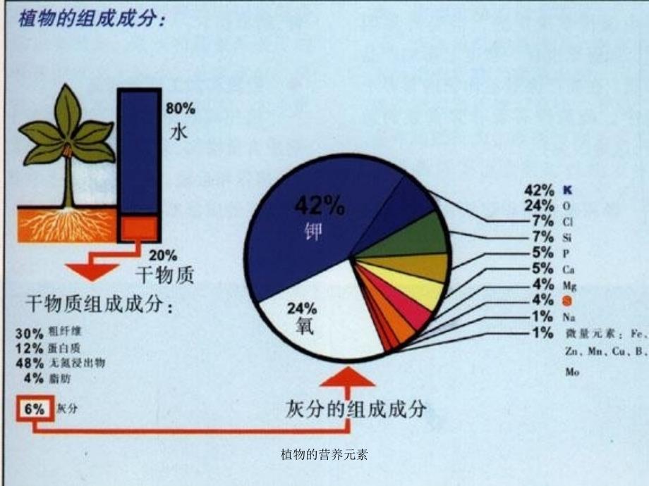 植物的营养元素课件_第3页