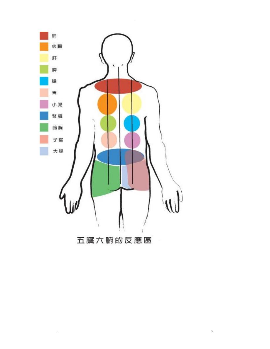 七轮人体位置图色彩能量疗法的颜色意义七轮能量失衡所出现的症状_第3页