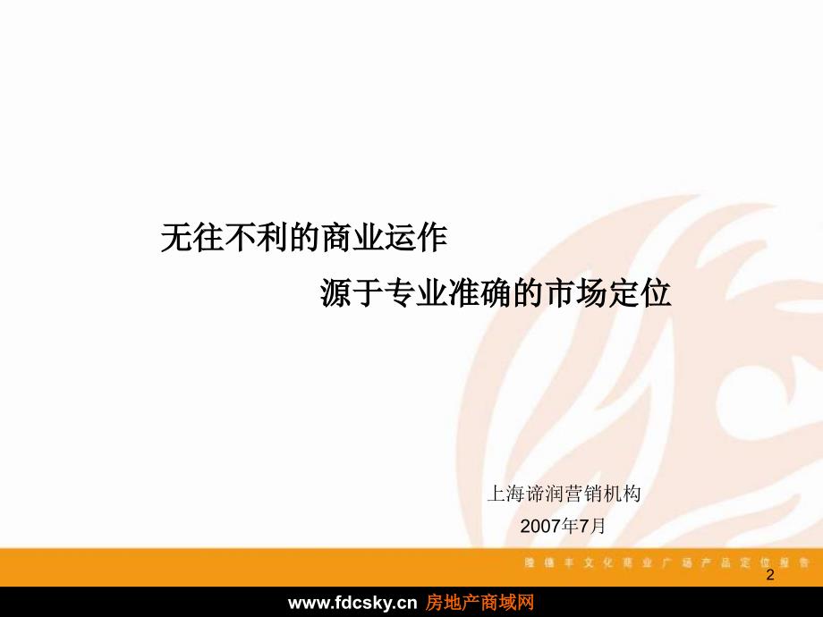 上海市北蔡镇隆德丰文化商业广场产品定位报告_第2页