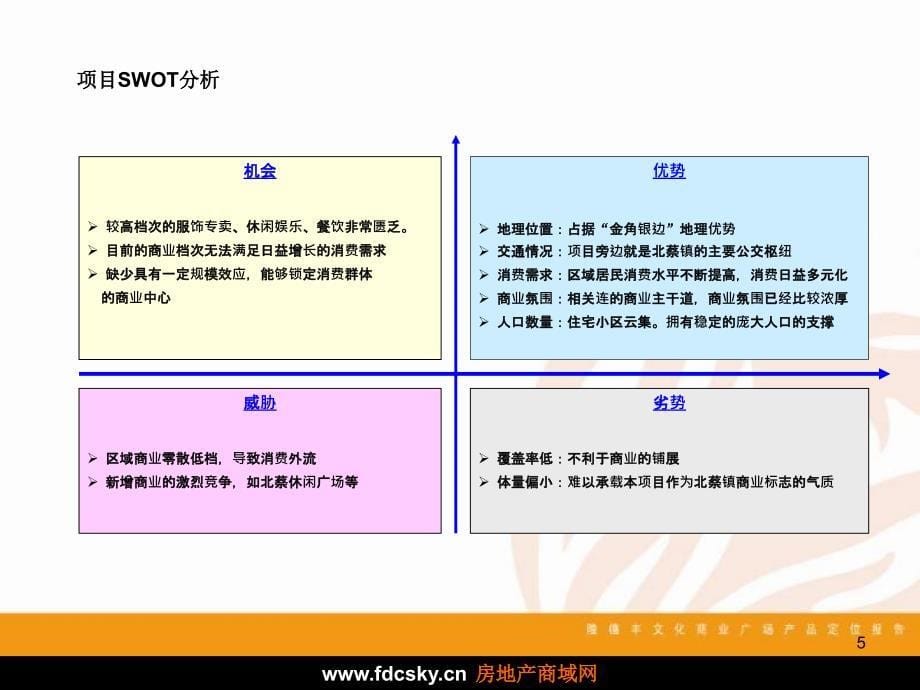 上海市北蔡镇隆德丰文化商业广场产品定位报告_第5页