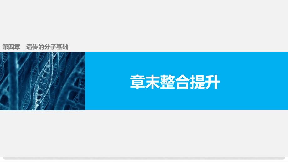 高中生物 第四章 遗传的分子基础章末整合提升课件 苏教版必修2_第1页