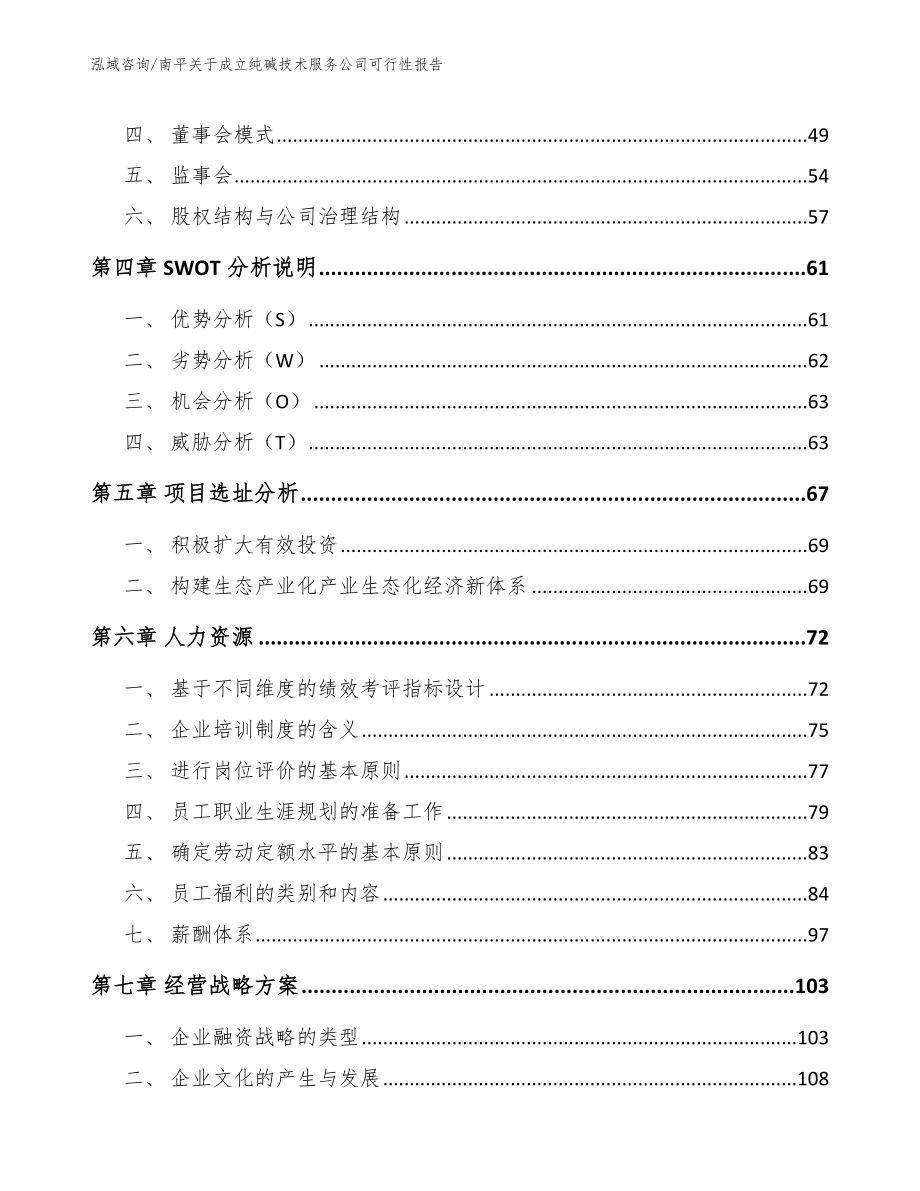 南平关于成立纯碱技术服务公司可行性报告参考模板_第2页