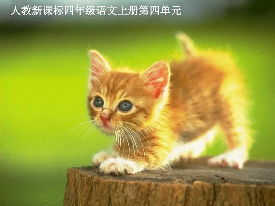 人教版四年级上册《猫》.ppt_第2页