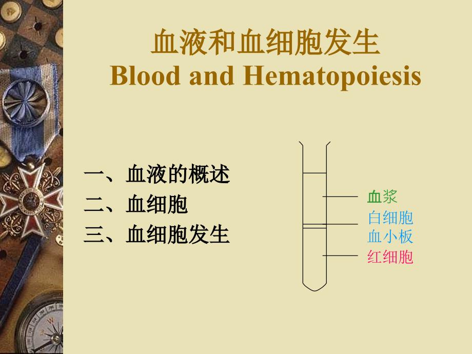 3.血液和血细胞发生_第1页