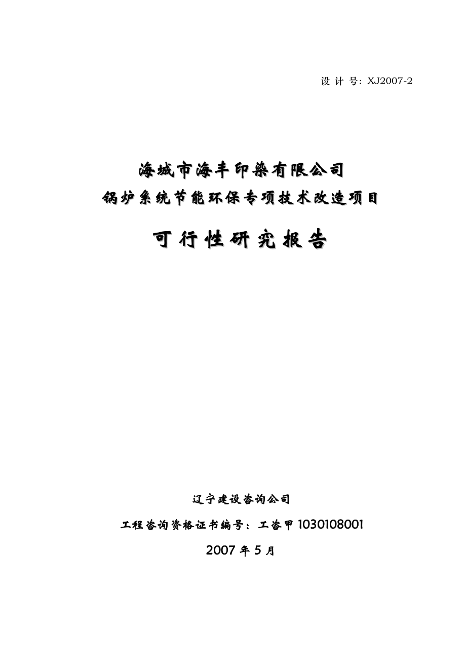 印染有限公司锅炉系统建设节能环保专项技术改造项目申请建设可行性研究报告.doc_第2页