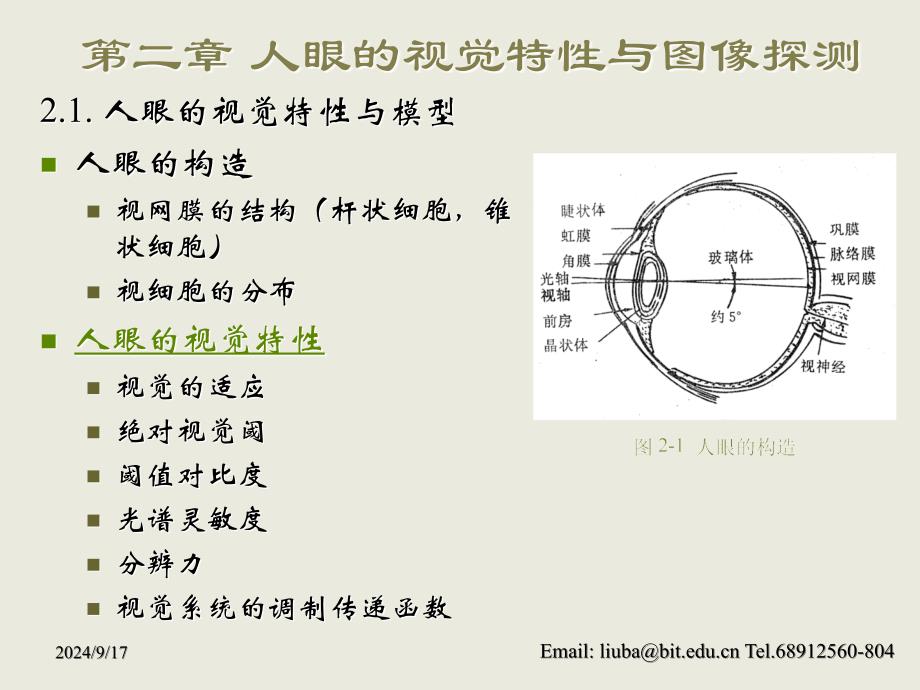 人眼视觉原理演示PPT_第2页